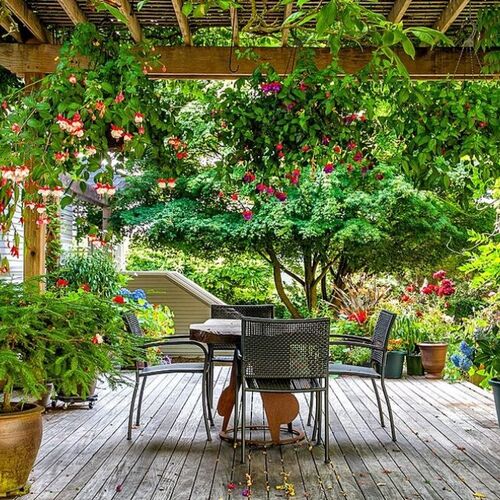 Garden & Balcony