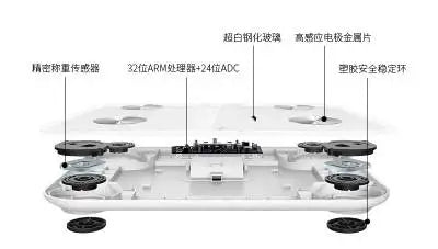 Intelligent Body Fat Scale Usb Charging Weight Weigh Multifunctional Adipose Household Electronic Scales Health Measuring