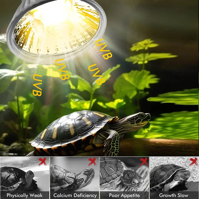 UVA Reptile Lamp Bulb Turtle Lizard Basking UV Light Bulbs Heating Light Full Sunlamp for Amphibians Habitat Lighting