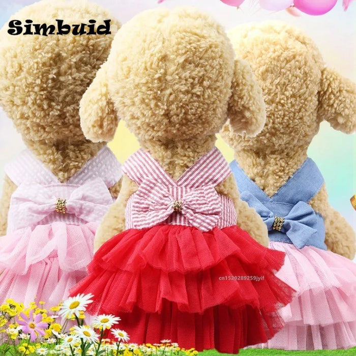 Dog Summer Dress Princess Cat Lace Stripe Skirt Slip Dress Puppy Apparel Cute for Small Medium Chihuahua Clothes Pet Product