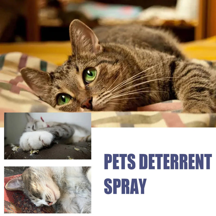 Cat Spray Deterrent Protect Furniture Spray For Anti Scratching & Biting For Indoor And Outdoor Kitten Training Aid Nin668